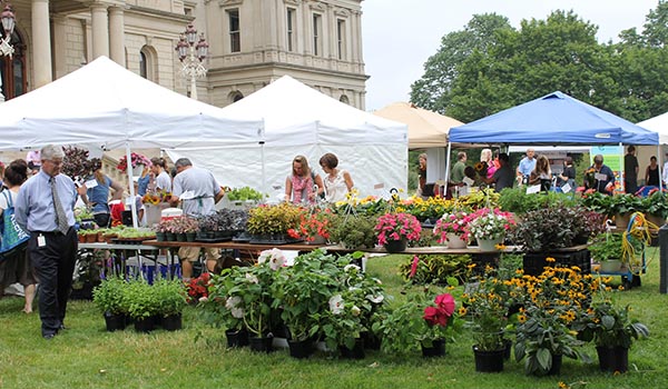 Farmer's Market at the Capitol (2012)